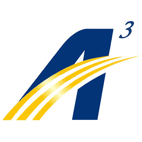 A3